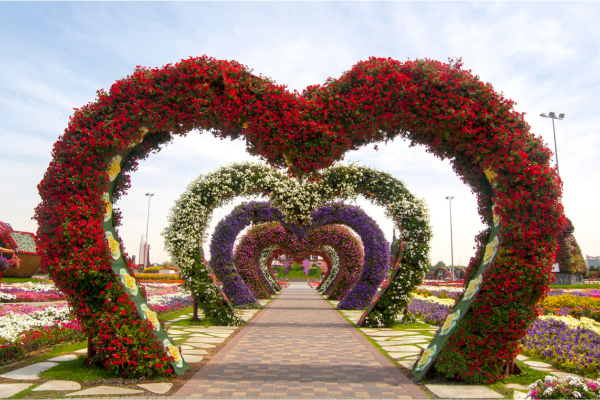 Dubai Miracle Garden