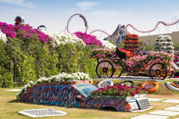 Dubai Miracle Garden