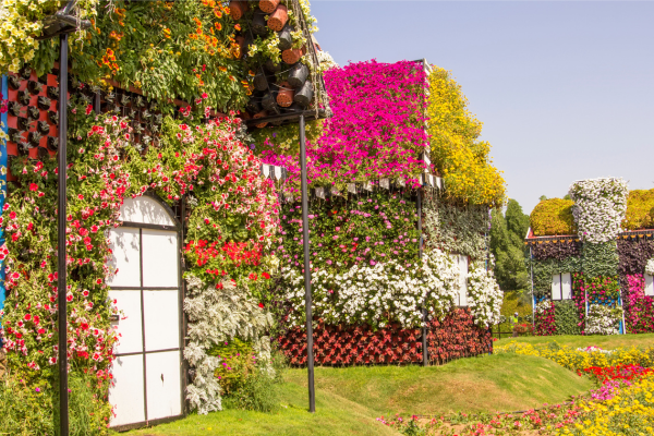 Dubai Miracle Garden