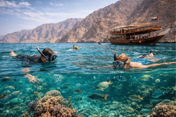 Snorkeling in Musandam