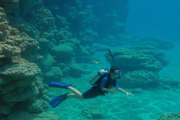 Snorkeling in Musandam